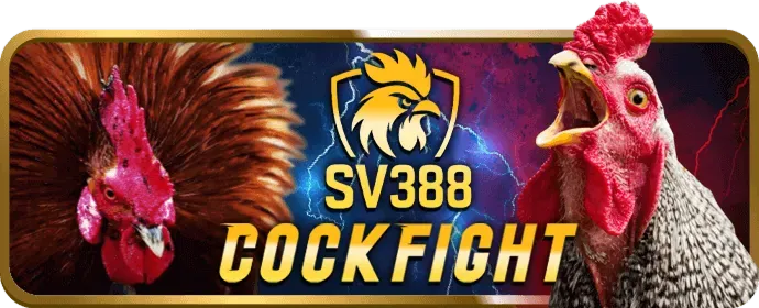 Liên hệ hỗ trợ khách hàng của gg8801 win